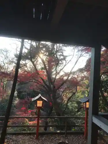 明王院（満願寺別院）の自然