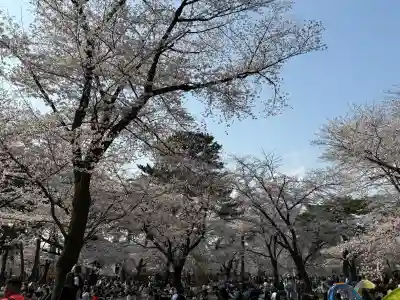 武蔵一宮氷川神社の{uncategorized: "未分類", other: "その他", undefined: "問題あり", building: "その他建物", grave: "お墓", sacred_gate: "鳥居", guardian: "狛犬", statue: "像", buddha: "仏像", history: "歴史", nature: "自然", garden: "庭園", animal: "動物", pagoda: "塔", temizu: "手水舎", mountain_gate: "山門・神門", sanctuary: "本殿・本堂", subordinate: "末社・摂社", art: "芸術", scenery: "景色", jizo: "地蔵", ema: "絵馬", goshuin: "御朱印", omikuji: "おみくじ", items: "授与品その他", amulet: "お守り", goshuincho: "御朱印帳", eats: "食事", festival: "お祭り", votive_dance: "神楽", shichigosan: "七五三参", wedding: "結婚式", experience: "体験その他", initially: "初詣", around: "周辺", anti_infection: "感染症対策"}