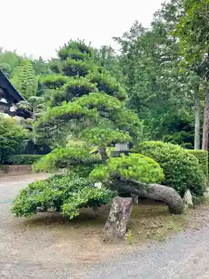 長禅寺(山梨県)