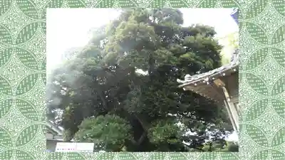 九重神社(埼玉県)