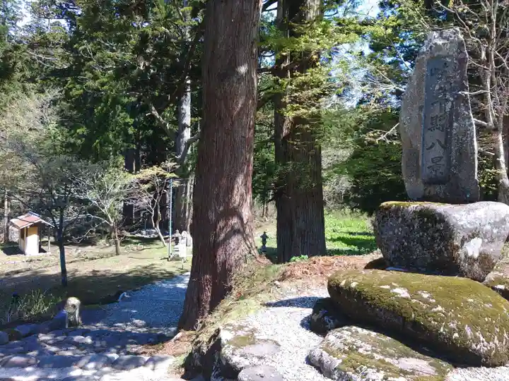 白山中居神社の自然