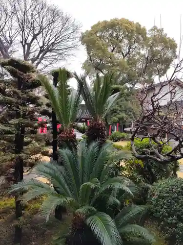 青林山　延命寺の庭園