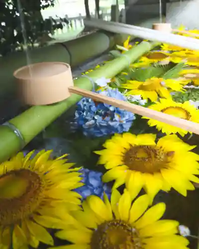 進雄神社(群馬県)
