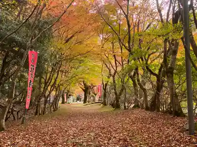 金剛院(京都府)