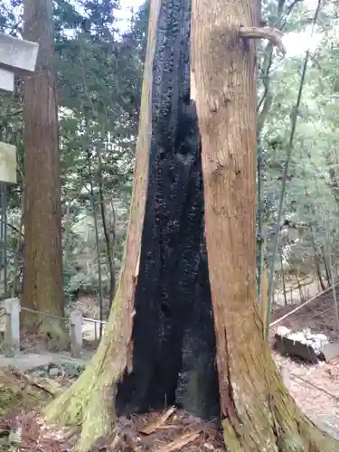 首塚大明神の自然
