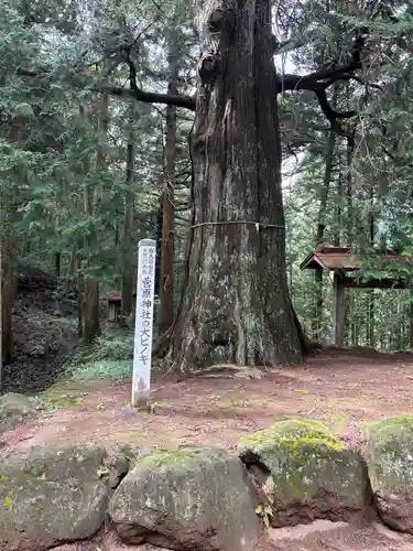 菅原神社(群馬県)