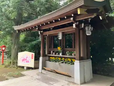 富士浅間神社(群馬県)