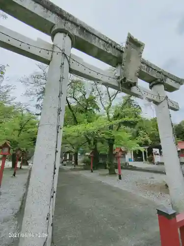 賀茂別雷神社の鳥居