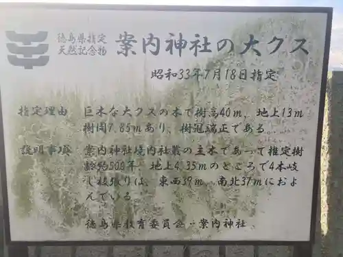 案内神社(徳島県)