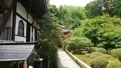 華厳寺（鈴虫寺）(京都府)