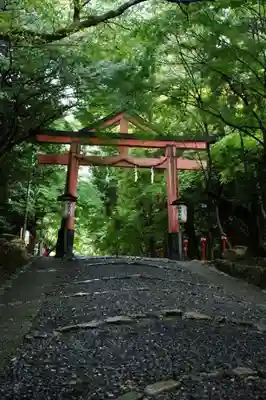 日吉大社の鳥居