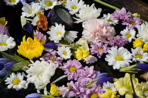 曹洞宗 永松山 龍泉寺の手水舎