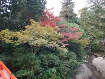 厳島神社(広島県)