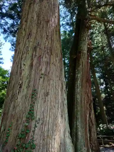 丹生都比売神社(和歌山県)