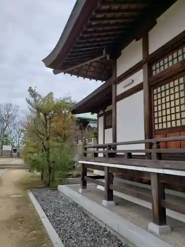 玉井宮東照宮の本殿・本堂