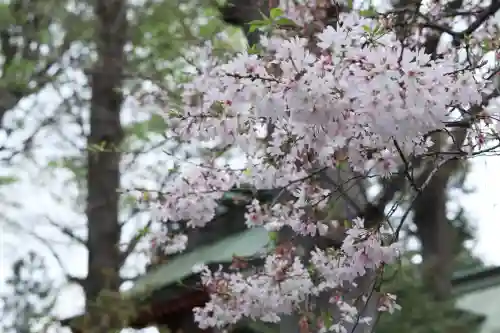 川越八幡宮の{uncategorized: "未分類", other: "その他", undefined: "問題あり", building: "その他建物", grave: "お墓", sacred_gate: "鳥居", guardian: "狛犬", statue: "像", buddha: "仏像", history: "歴史", nature: "自然", garden: "庭園", animal: "動物", pagoda: "塔", temizu: "手水舎", mountain_gate: "山門・神門", sanctuary: "本殿・本堂", subordinate: "末社・摂社", art: "芸術", scenery: "景色", jizo: "地蔵", ema: "絵馬", goshuin: "御朱印", omikuji: "おみくじ", items: "授与品その他", amulet: "お守り", goshuincho: "御朱印帳", eats: "食事", festival: "お祭り", votive_dance: "神楽", shichigosan: "七五三参", wedding: "結婚式", experience: "体験その他", initially: "初詣", around: "周辺", anti_infection: "感染症対策"}