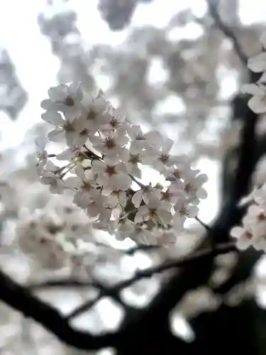 上野東照宮(東京都)