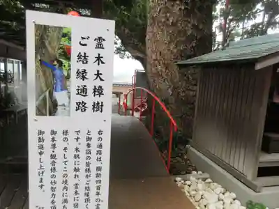 金剛宝寺（紀三井寺）(和歌山県)