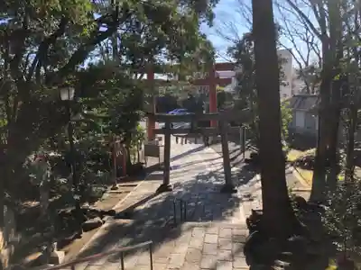 世田谷八幡宮の鳥居