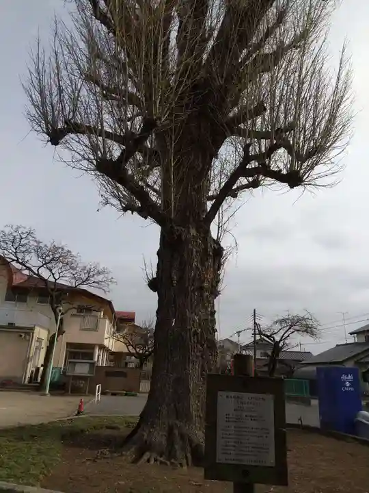 壬生寺のその他建物