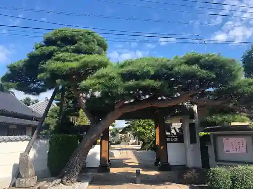 法源寺の山門