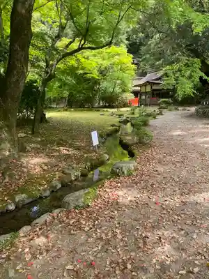 賀茂別雷神社（上賀茂神社）(京都府)