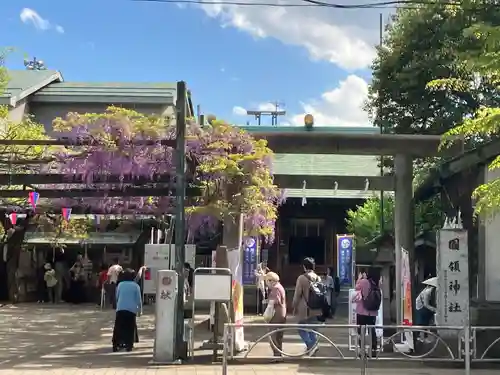 國領神社の鳥居