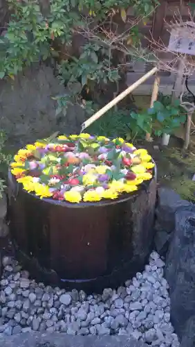 心行寺の{uncategorized: "未分類", other: "その他", undefined: "問題あり", building: "その他建物", grave: "お墓", sacred_gate: "鳥居", guardian: "狛犬", statue: "像", buddha: "仏像", history: "歴史", nature: "自然", garden: "庭園", animal: "動物", pagoda: "塔", temizu: "手水舎", mountain_gate: "山門・神門", sanctuary: "本殿・本堂", subordinate: "末社・摂社", art: "芸術", scenery: "景色", jizo: "地蔵", ema: "絵馬", goshuin: "御朱印", omikuji: "おみくじ", items: "授与品その他", amulet: "お守り", goshuincho: "御朱印帳", eats: "食事", festival: "お祭り", votive_dance: "神楽", shichigosan: "七五三参", wedding: "結婚式", experience: "体験その他", initially: "初詣", around: "周辺", anti_infection: "感染症対策"}