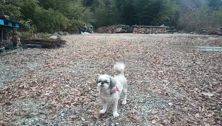 玄浄院(山梨県)