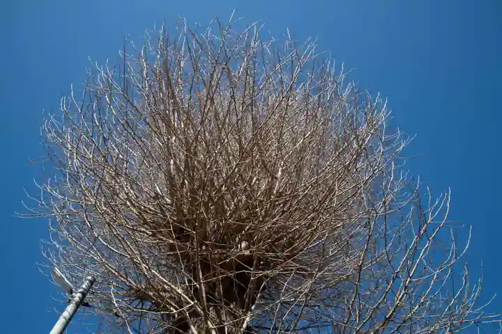 日吉八王子神社(東京都)