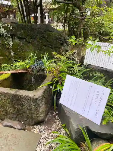 武田神社の庭園