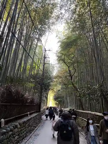 野宮神社(京都府)
