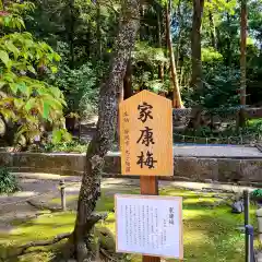 久能山東照宮の自然