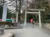 椿大神社の鳥居
