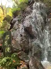 花園神社の自然