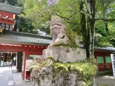大國魂神社の{uncategorized: "未分類", other: "その他", undefined: "問題あり", building: "その他建物", grave: "お墓", sacred_gate: "鳥居", guardian: "狛犬", statue: "像", buddha: "仏像", history: "歴史", nature: "自然", garden: "庭園", animal: "動物", pagoda: "塔", temizu: "手水舎", mountain_gate: "山門・神門", sanctuary: "本殿・本堂", subordinate: "末社・摂社", art: "芸術", scenery: "景色", jizo: "地蔵", ema: "絵馬", goshuin: "御朱印", omikuji: "おみくじ", items: "授与品その他", amulet: "お守り", goshuincho: "御朱印帳", eats: "食事", festival: "お祭り", votive_dance: "神楽", shichigosan: "七五三参", wedding: "結婚式", experience: "体験その他", initially: "初詣", around: "周辺", anti_infection: "感染症対策"}