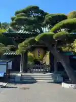 長谷寺(神奈川県)