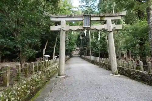 崇道神社の鳥居