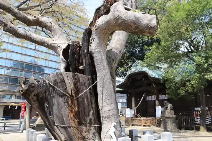 阿邪訶根神社の景色