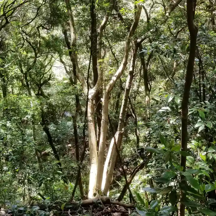 沼尾神社の自然