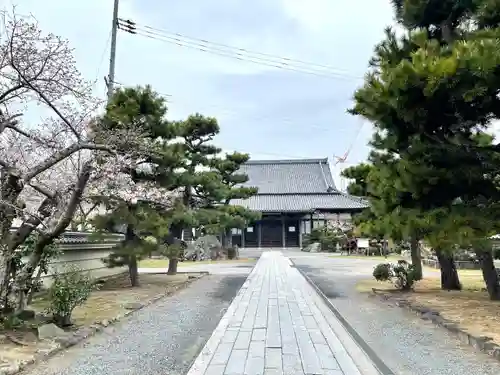 悟真寺の建物その他