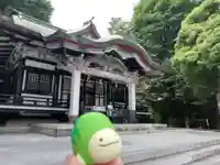 亀有香取神社のおみくじ