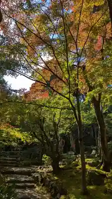常寂光寺(京都府)
