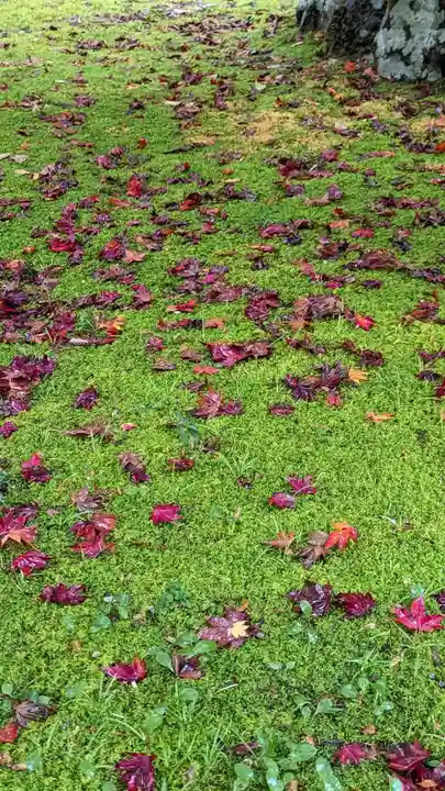 大原野神社(京都府)