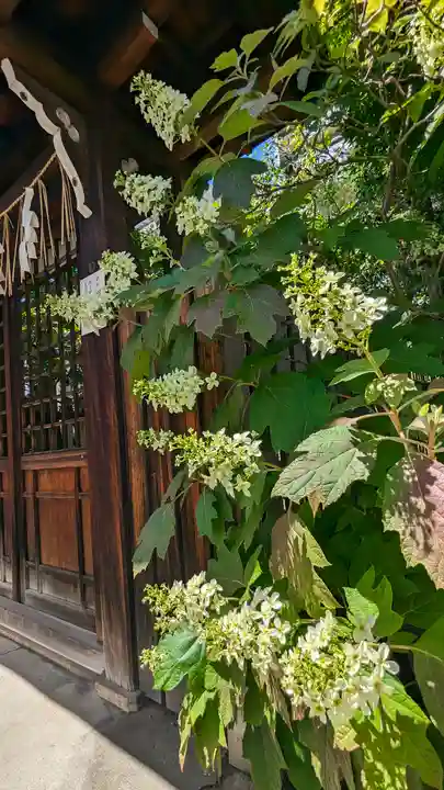 元祇園梛神社・隼神社(京都府)