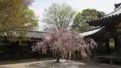 法隆寺の庭園