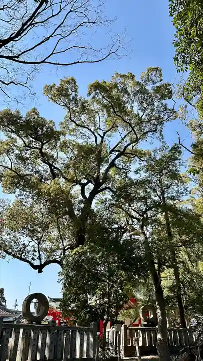 亀之森住吉神社の自然