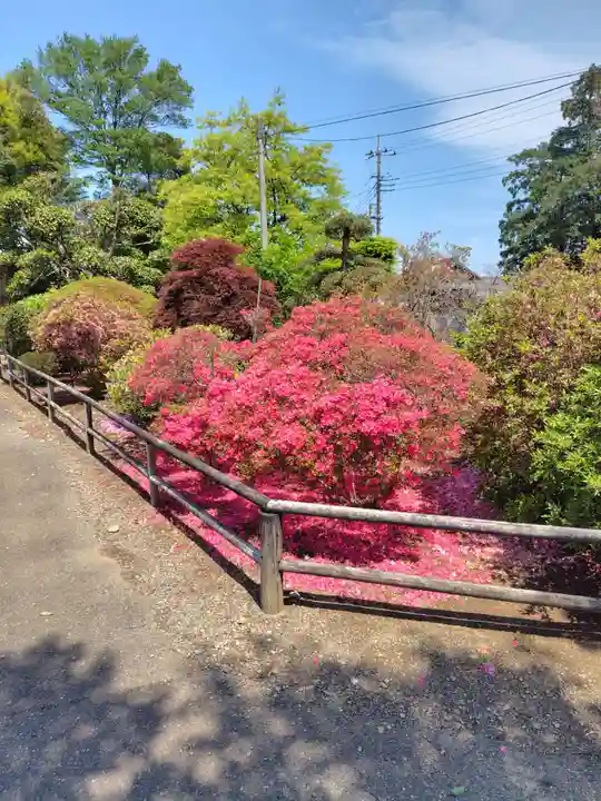 養寿寺(群馬県)