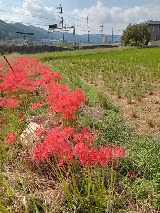 穴太寺(京都府)