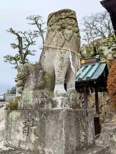 鶴尾神社の狛犬